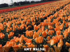 KefiAmyWaldal